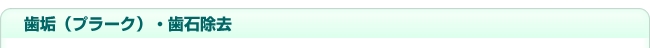 歯垢（プラーク）・歯石除去
